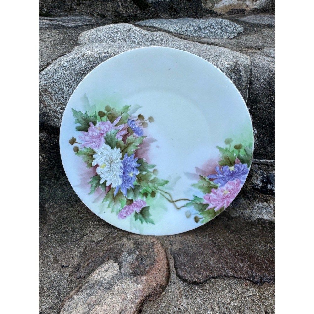 Antique 1910 Hand Painted Porcelain Floral Plate Signed E.J. Jenness Startup